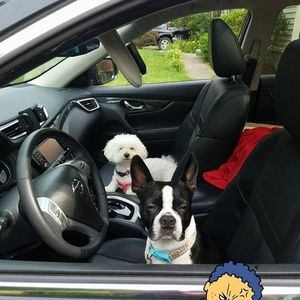 Meet your Posher, Checho